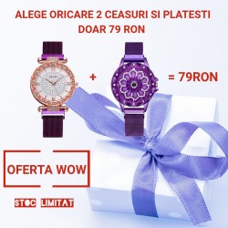 2 Ceasuri la 79 RON