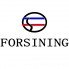 Forsining (5)