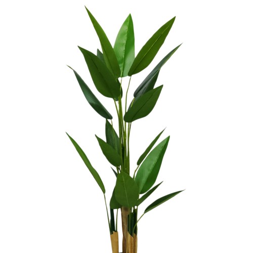 Planta artificiala, Canna fara ghiveci, D4244, 170cm, verde