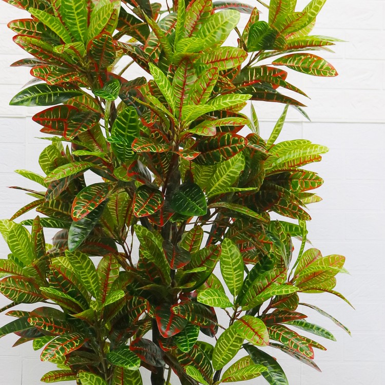 Planta artificiala, Croton cu ghiveci, D4252, 190cm