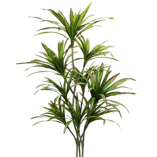 Planta artificiala, Dracaena fara ghiveci, D4277, 204cm, verde/rosu