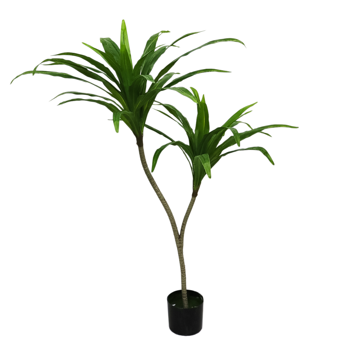 Planta artificiala, Dracaena fara ghiveci, D4260, 140cm, verde image10