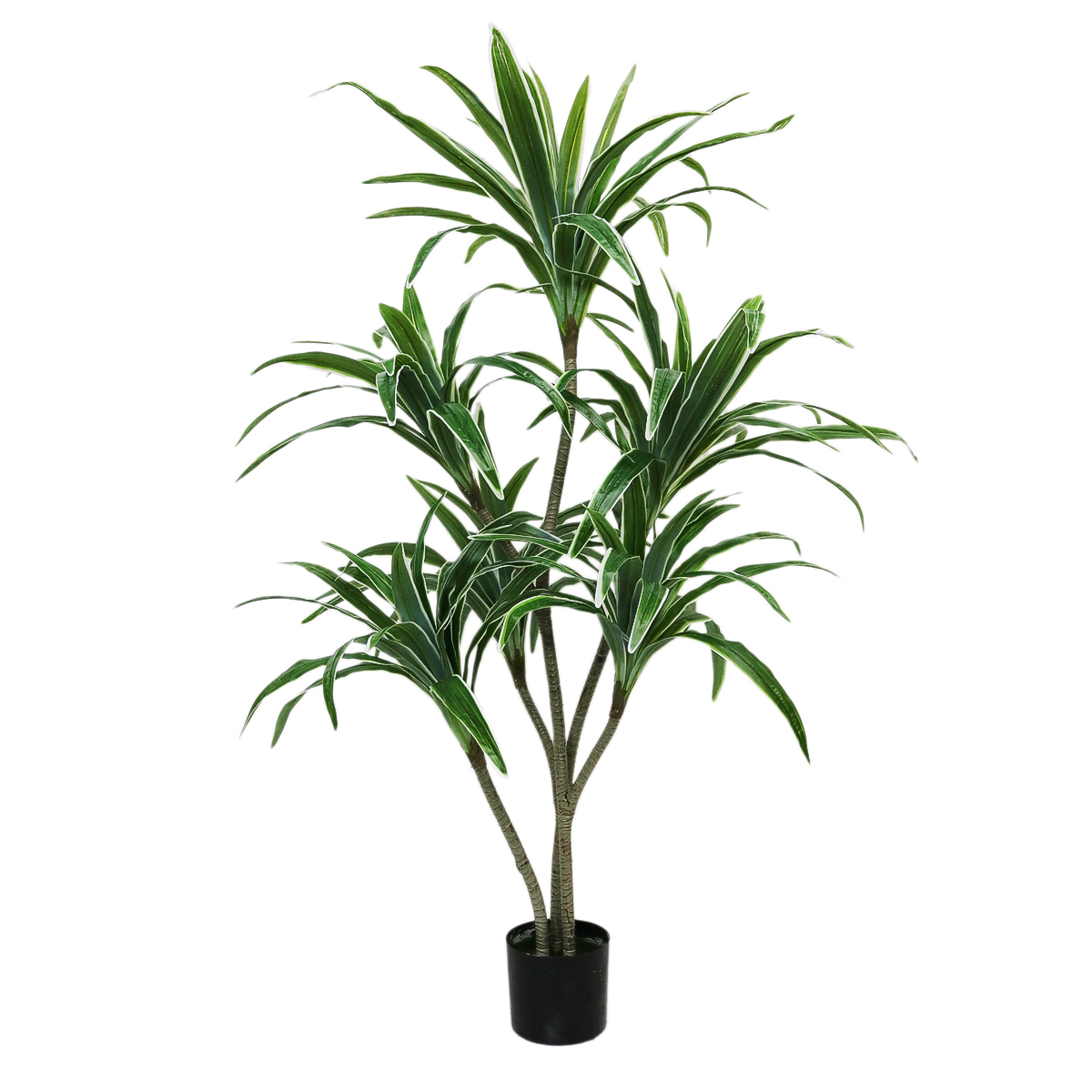 Planta artificiala, Dracaena fara ghiveci, D4263, 170cm, verde/alb image7