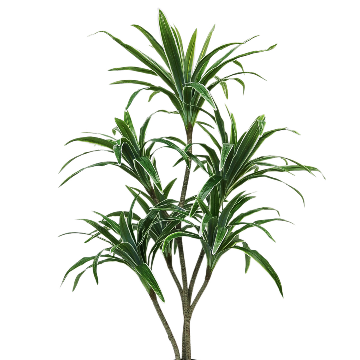 Planta artificiala, Dracaena fara ghiveci, D4263, 170cm, verde/alb image0